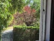 CASA DE VENTA DE 500M2, IMPLANTADA EN UN TERRENO DE...
