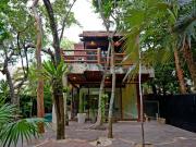 CASA DEL ÁRBOL