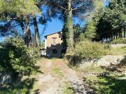 Casa di campagna da rimodernare con giardino Castellina...