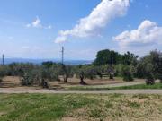 Casa di campagna in Strada Pian di Legname