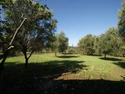 Casa di campagna in vendita di 100 m² in Località chiarello