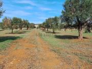 Casa di campagna in vendita di 100 m² in Strada...