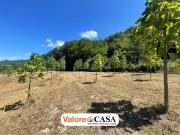 Casa di campagna in vendita di 11 m²