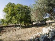 Rustici e casali in vendita di 1200 m² in Via del Tellesimo