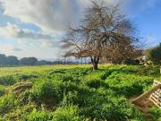 Casa di campagna in vendita di 150 m² in Via paolo...