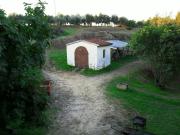 Casa di campagna in vendita di 200 m² in Via Ginestreto