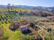 Casa di campagna in vendita di 230 m² in Via Torre del Colle