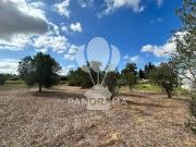 Casa di campagna in vendita di 27000 m² in Strada...