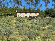 Casa di campagna in vendita di 275 m² in Strada Senza Nome