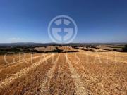 Casa di campagna in vendita di 300 m² in Località La...