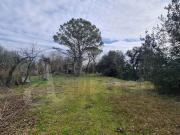 Casa di campagna in vendita di 300 m² in Strada senza...