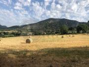 Casa di campagna in vendita di 300 m² in Via Campo Fiorito