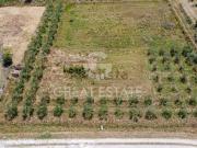 Casa di campagna in vendita di 325 m² in Località...