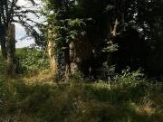 Casa di campagna in vendita di 40 m² in Via Carlo...