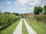 Casa di campagna in vendita di 480 m²