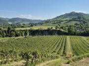 Casa di campagna in vendita di 500 m² in Via Scavignano, 51