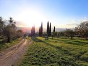 Casa di campagna in vendita di 530 m²