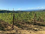 Casa di campagna in vendita di 539 m²