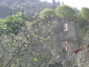 Casa di campagna in vendita di 540 m² in Via della Borgata