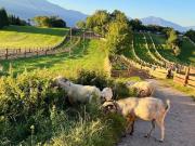 Casa di campagna in vendita di 810 m² in Via di...