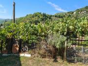 Casa di campagna in vendita di 90 m² in Località Villore, 72