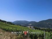 Casa di lusso di 1450 mq in vendita Umbertide, Umbria