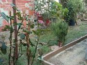 Casa di paese in vendita di 110 m² in Via Casciavola