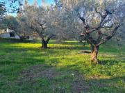 Casa di paese in vendita di 140 m² in Via Montegiove Vecchio