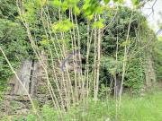 Casa di paese in vendita di 165 m² in Via Davide Norero