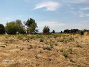 Casa di paese in vendita di 190 m² in Via dei ciliegi