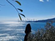 Casa di paese in vendita di 400 m² in Via dei Tessitori