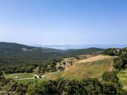 Prestigiosa casa di 700 mq in vendita Rosignano...