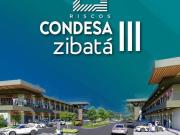 CASA DIAMANTE CON RECÁMARA EN PB EN VENTA CONDESA III,...