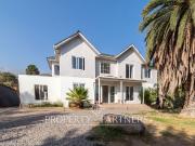 Gran Oportunidad: Casa en Remodelacion en Excelente...