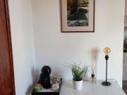 Casa do Zé Casa do Zé