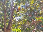 Casa Duplex à venda, 6 quartos, 1 suíte, 1 vaga,...