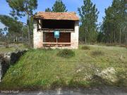 Casa e eira para reconstruo com terreno florestal de 6000m