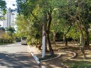 Casa e Terreno Plano 592m2 Vila Cruzeiro