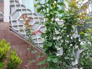 Casa em Avenida Edilu Independência São Bernardo do Campo/SP