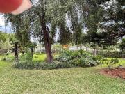 Casa em Centro, Lagoa Santa/MG de 194m² 3 quartos à...