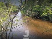 Casa em Condomínio à Venda Mar Verde II, Caraguatatuba...