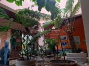 Casa em condomínio Boracéia Bertioga