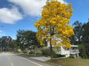 Casa em Condomínio para Aluguel em Tamboré 01, Barueri, SP