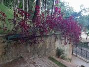 Casa em Condomínio para Venda em Itabirito, Aconchego da...