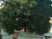 Casa em Jardim Palmares, Nova Iguaçu/RJ de 360m² 3...