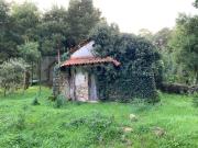 Casa em Pedra no Pinhal do Camarido