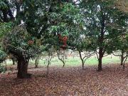 Casa em Residencial Village Santana, Guaratinguetá/SP de...