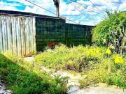 Casa em Rua Adriano Camargos Dom Pedro I São José da Lapa/MG