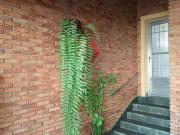 Casa em Rua Atucuri Chácara Santo Antônio Zona Leste São...