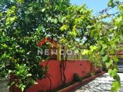 Casa em Rua Barão do Rio Branco Jardim Barra de Jangadas...